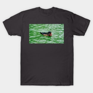 Wood Duck Swimming In a Pond T-Shirt